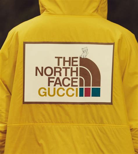 northfacex gucci|Gucci north face shop.